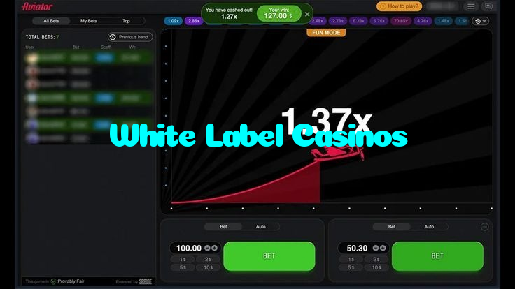 available types of White Label Casinos bet including pre-match live express and system bets