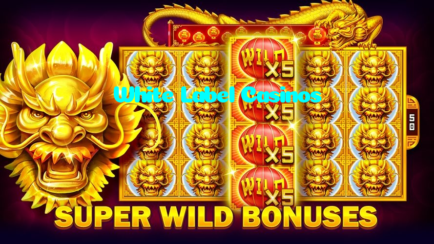 making first deposit on White Label Casinos website using local payment methods in Pakistan