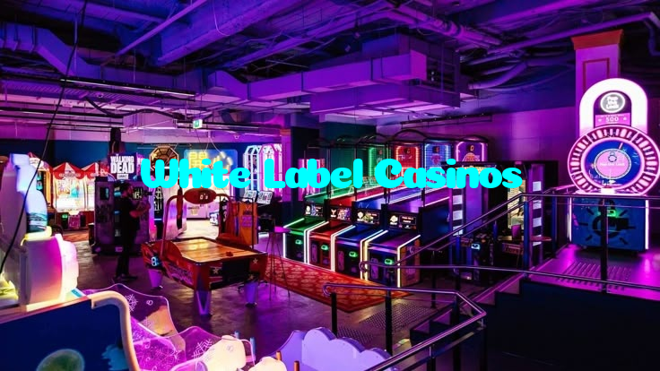 available types of White Label Casinos bet including pre-match live express and system bets